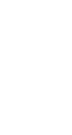 Judicap logo